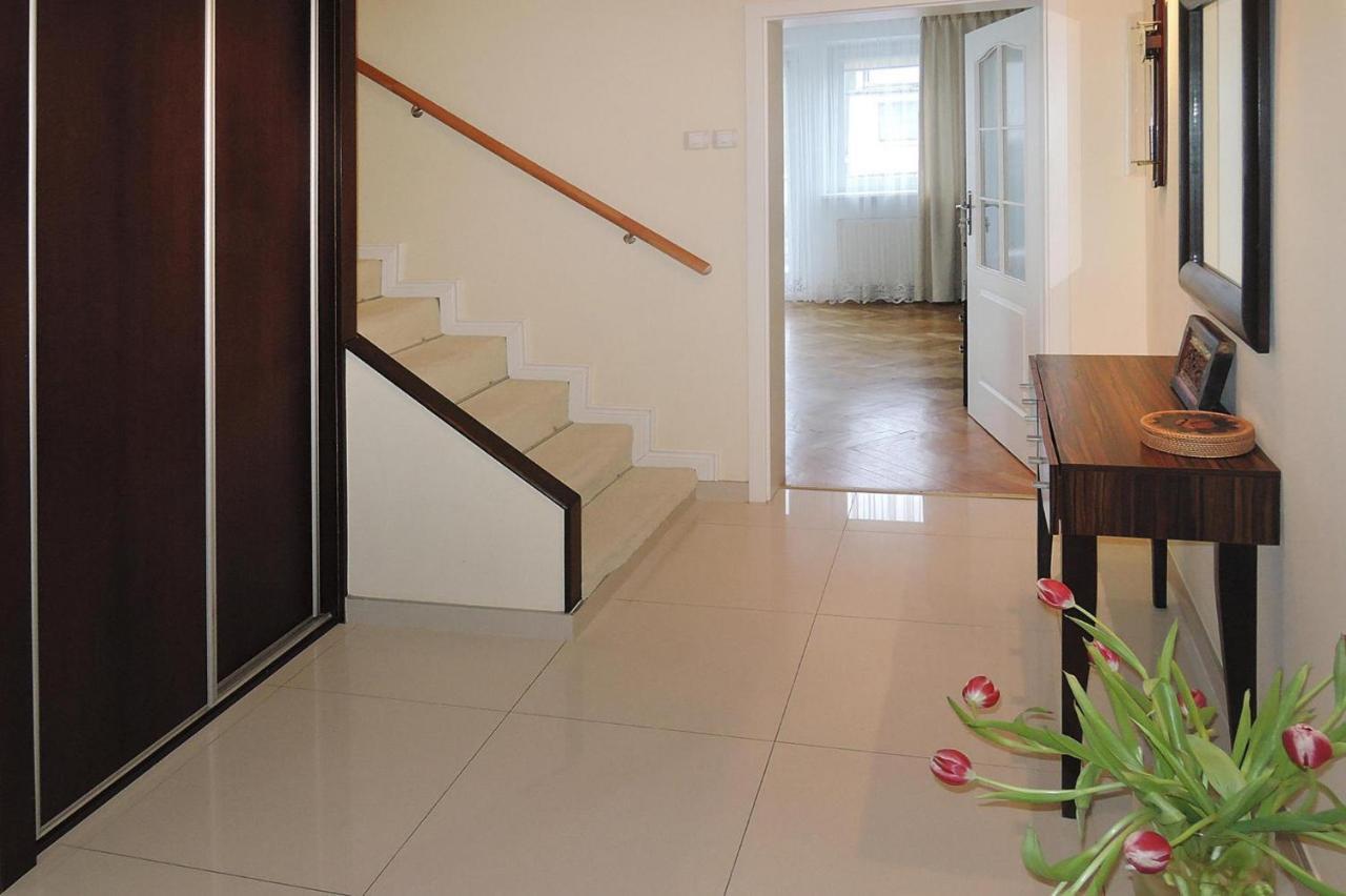 Terraced Modern House In